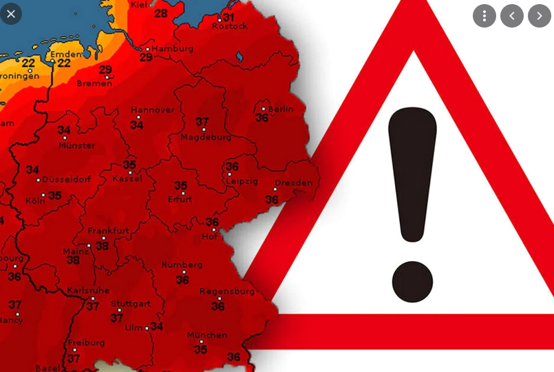 Höchste Warnstufe: Waldbrandgefahr bedroht mehrere Bundesländer! DWD schlägt Alarm