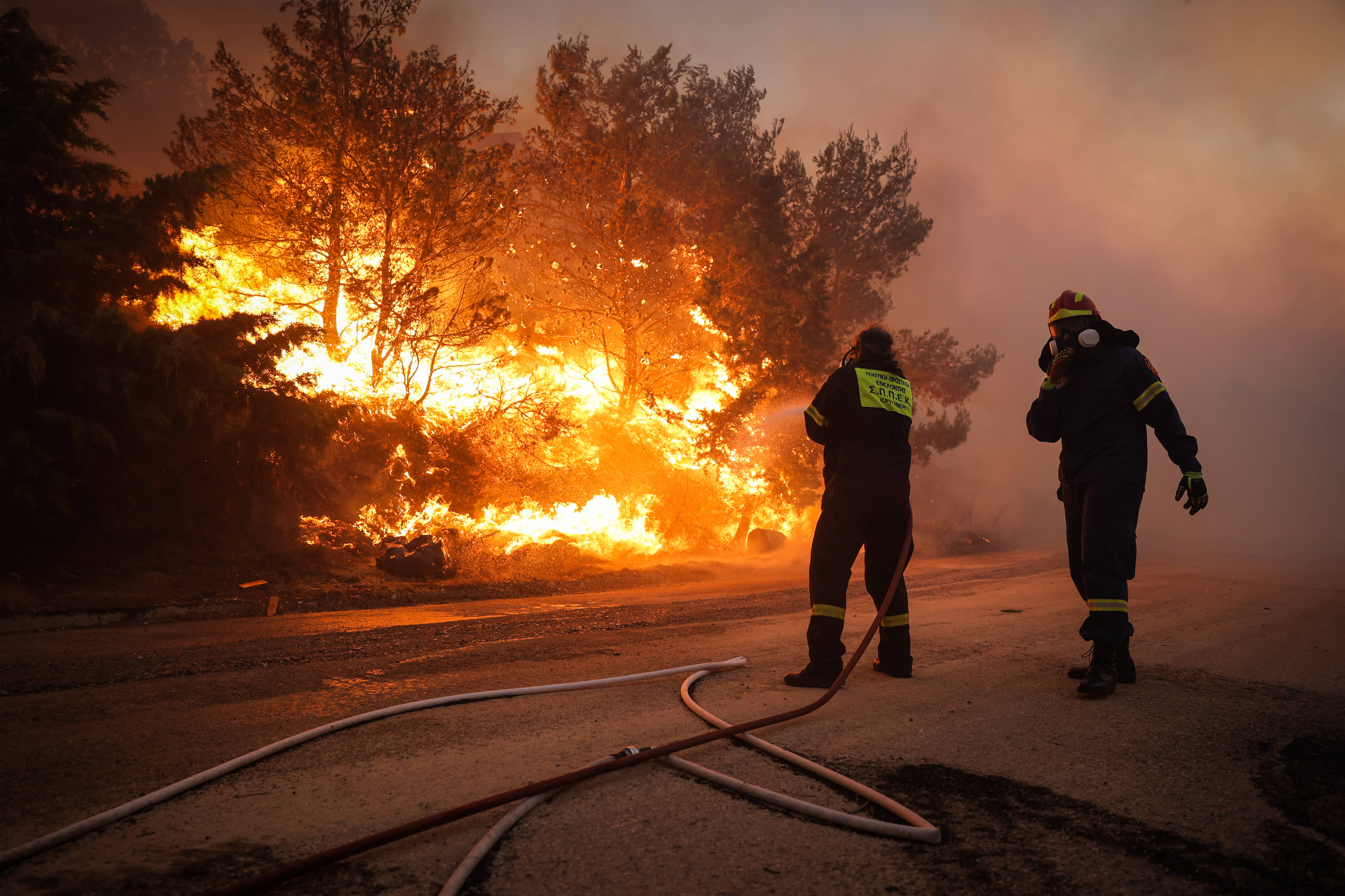 Höchste Warnstufe: Waldbrandgefahr bedroht mehrere Bundesländer! DWD schlägt Alarm